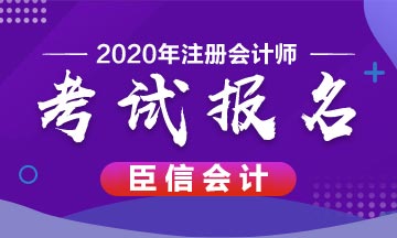 考取注册会计师证书后,能从事什么工作?