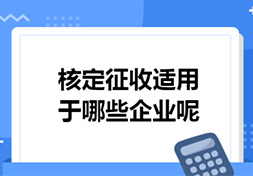 核定征收适用于哪些企业