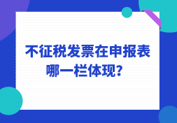 不征税发票在申报表哪一栏体现？